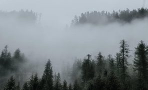 Meteorologia: Previsão do tempo para sexta-feira, 6 de janeiro