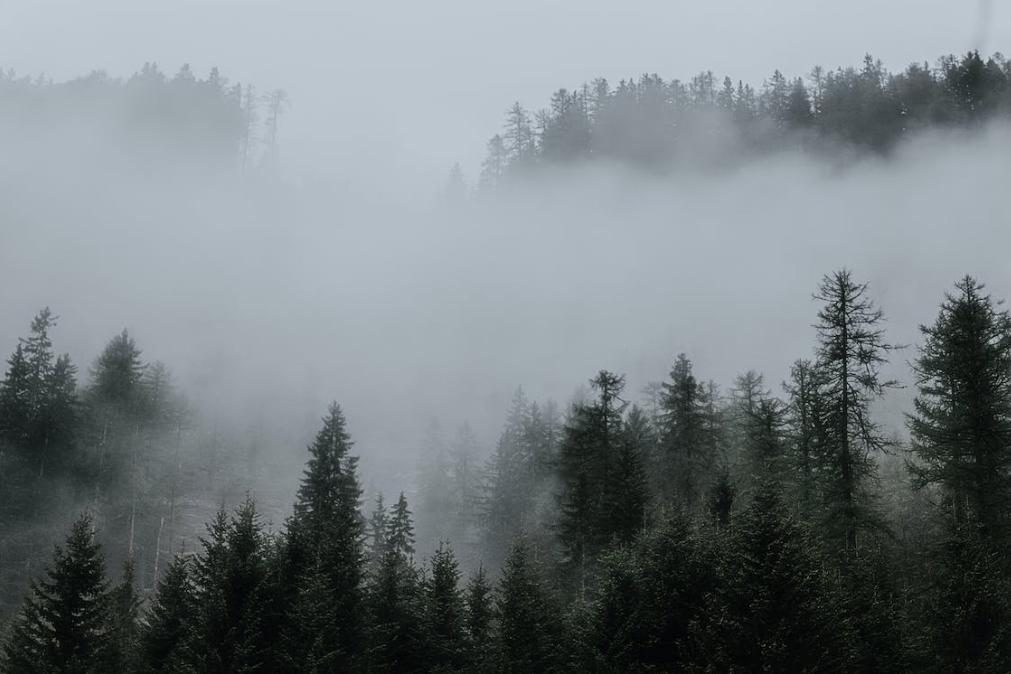 Meteorologia: Previsão do tempo para domingo, 19 de fevereiro