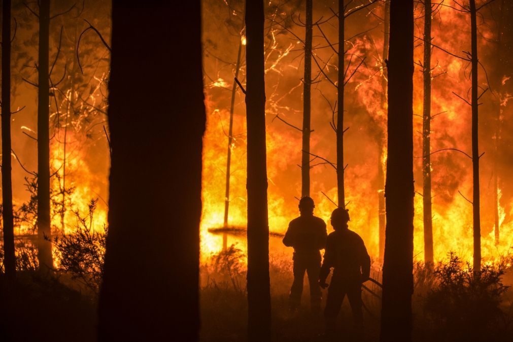 INCÊNDIOS: quer manifestar-se? Saiba onde, como e porquê