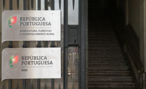Ministra da Agricultura desconhecia envolvimento de Carla Alves em processos judiciais