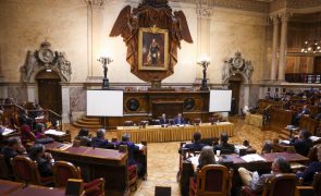 TAP: Medina defende quadro legislativo próprio para 