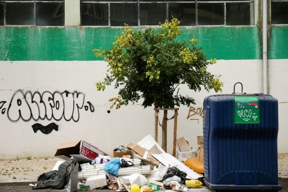 Mais de 21 mil toneladas de lixo na Grande Lisboa entre Natal e Ano Novo