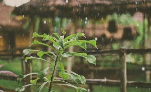 Meteorologia: Previsão do tempo para segunda-feira, 9 de janeiro