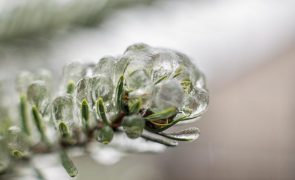 Meteorologia: Previsão do tempo para terça-feira, 10 de janeiro