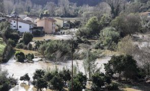 Rio Ceira voltou a inundar terrenos e habitações às portas de Coimbra