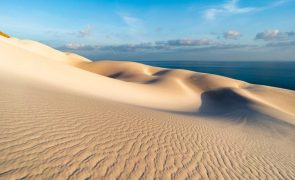 Socotra, a ilha que é o destino mais alienígena da terra e um perigo para os turistas