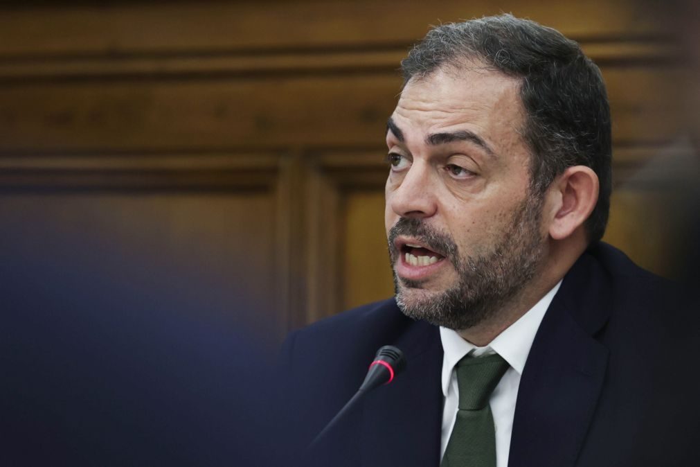 Metade da rede primária de faixas gestão combustível pronta até 2025