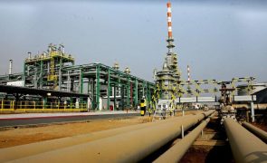 Previsão de 75 dólares por barril no Orçamento de Angola é adequada