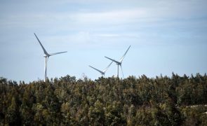 Produção de eletricidade de origem renovável atingiu 78% em dezembro - APREN