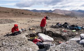 Descobertos quatro tipo de dinossauros incluindo um Megaraptor no Chile