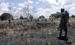 Exército moçambicano anuncia morte de suposto líder de terroristas