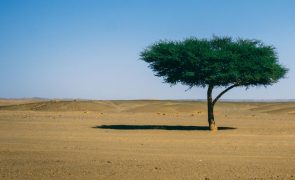 Qual é o maior deserto do mundo?