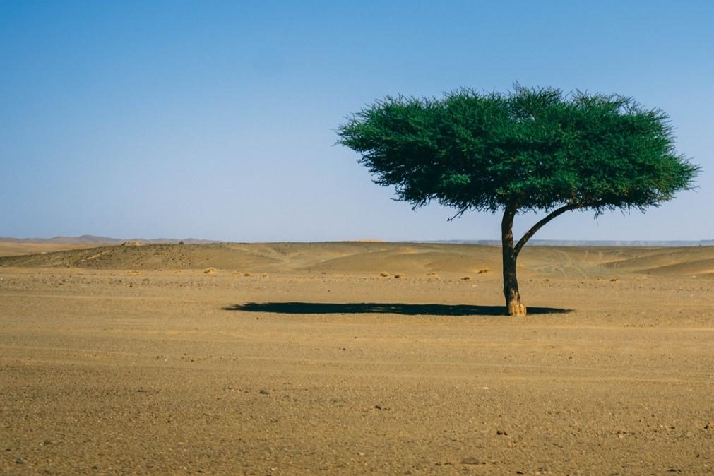 Qual é o maior deserto do mundo?