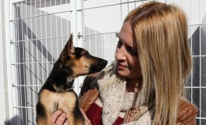Faro abre centro de recolha com capacidade para 170 animais