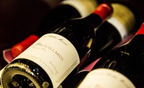 Abriu em Portugal uma das melhores lojas de vinho do mundo