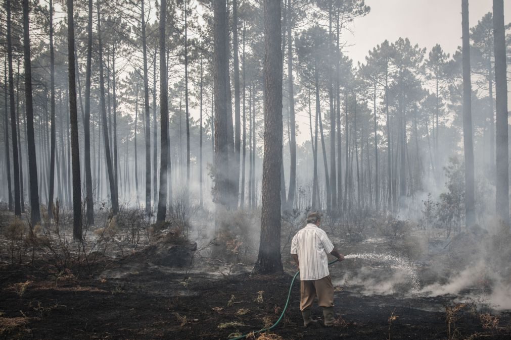 Diocese de Setúbal disponibiliza ajuda financeira para populações afetadas pelos fogos