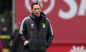 Roger Schmidt sobre Gonçalo Guedes: 