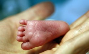Teste do pezinho chega a quatro milhões de bebés e deteta 2.400 casos de doenças raras