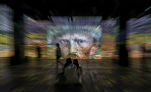 Juíz recusa julgar disputa por quadro de Van Gogh entre colecionador e museu dos EUA