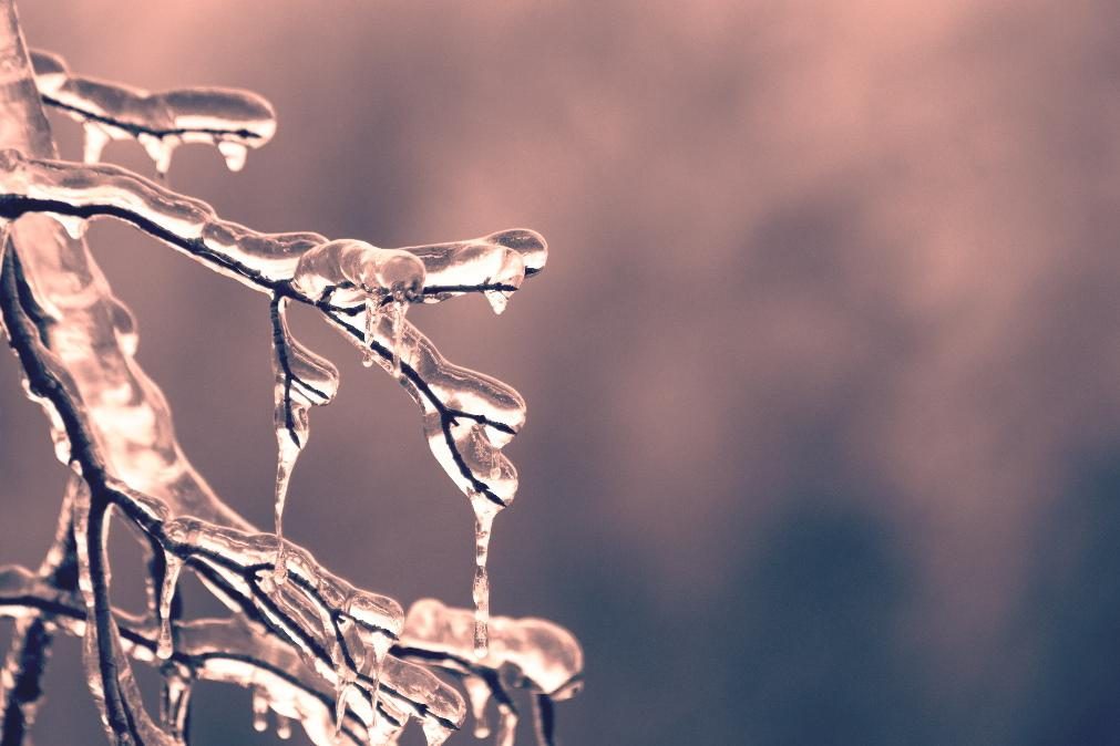 Meteorologia: Previsão do tempo para domingo, 22 de janeiro