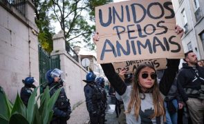Ruidosa mas ordeira, manifestação pelos animais passou pelo TC sem incidentes