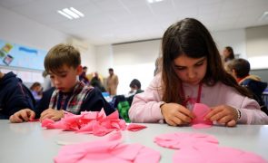 Em Campo Maior, o segredo das flores de papel está nas mãos das crianças