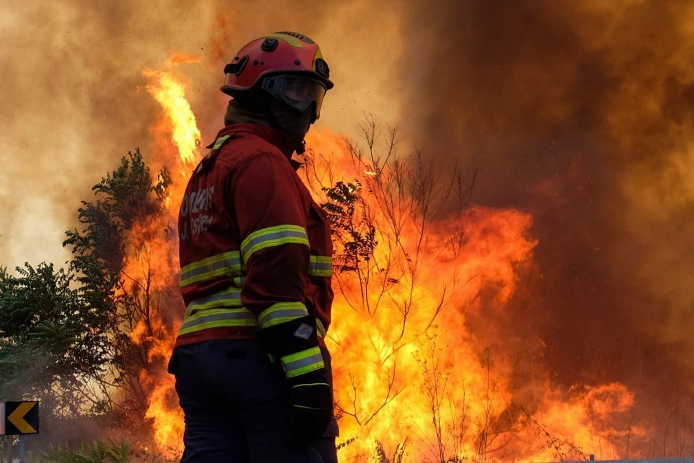 Tondela precisa de mais de 1,5 ME para apoiar reconstrução de primeiras habitações que arderam