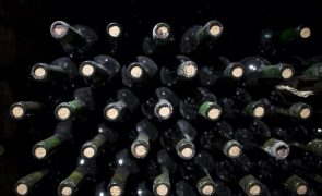Comissão Europeia confirma que está a trabalhar em alertas de saúde no vinho