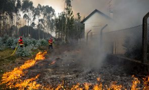MP arquiva inquérito aos fogos de julho de 2022 no concelho de Leiria