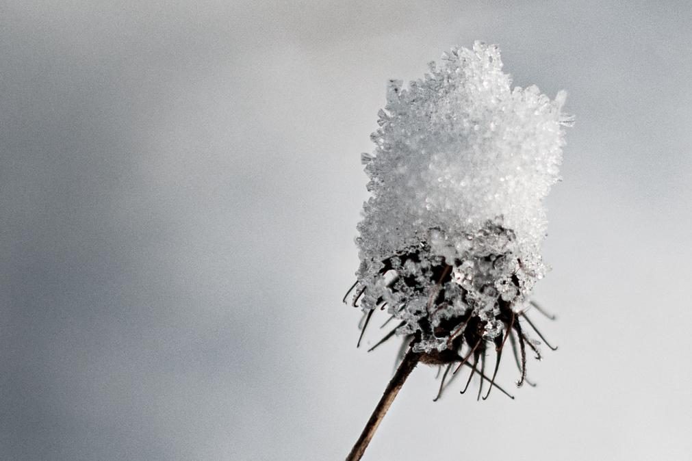 Meteorologia: Previsão do tempo para quarta-feira, 25 de janeiro