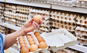 Fique a saber se vão faltar ovos em Portugal