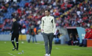 Schmidt não espera perder titulares do Benfica, incluindo Enzo Fernández
