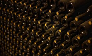 Comercialização de vinhos do Porto e Douro atingiu os 625 ME em 2022