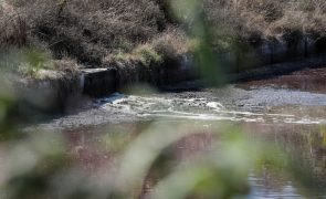 GNR registou 196 denúncias na área ambiental do distrito de Leiria em 2022