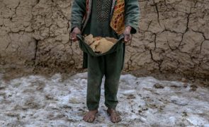 Número de mortos devido a onda de frio no Afeganistão sobe para 158