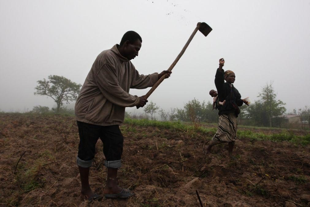 Presidentes de Moçambique e Quénia querem aposta no processamento agrícola
