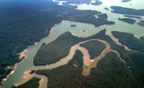 Brasil registou quinto recorde anual seguido de destruição na Amazónia em 2022