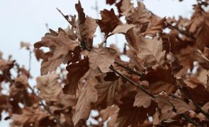 Meteorologia: Previsão do tempo para segunda-feira, 30 de janeiro