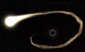 Telescópio Hubble capta estrela a ser devorada por buraco negro [vídeo]