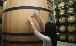 Vinho Madeira gerou receitas de 21 ME no ano passado, valor mais alto desde 2002