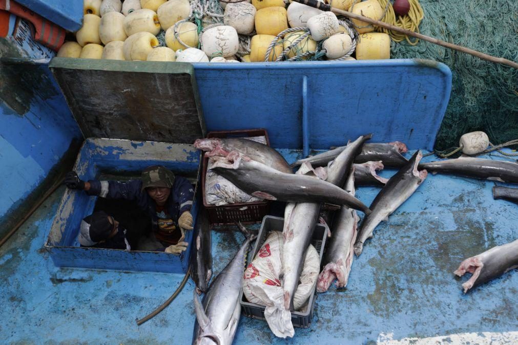 Governo guineense reabre atividade de pesca nas águas do país