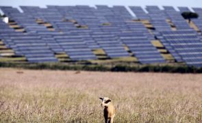 Iberdrola com licença ambiental para maior parque solar da Europa em Santiago do Cacém