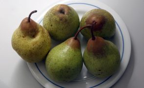 Portugal tem 327 variedades de fruteiras registadas este ano