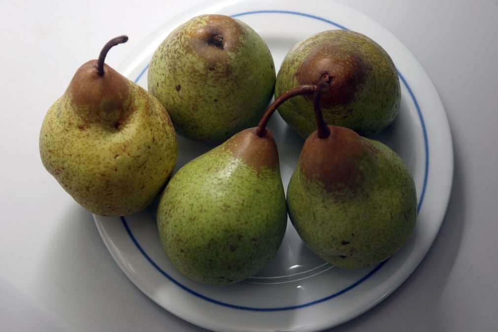 Portugal tem 327 variedades de fruteiras registadas este ano