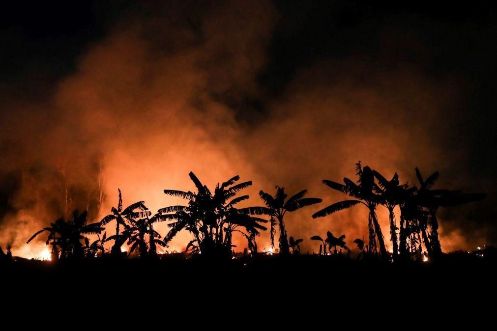 Incêndios florestais crescem 14% no Brasil em 2022 sobretudo na Amazónia