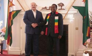 Presidente da Bielorrússia quer investir na agricultura em Moçambique
