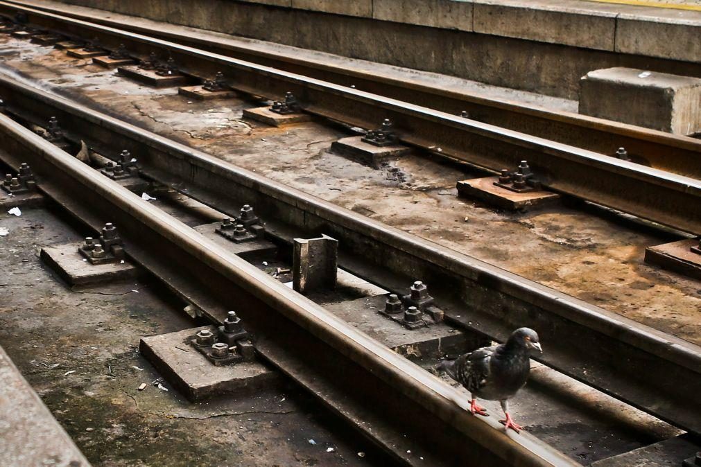 Acidente ferroviário mata um homem e corta circulação na Linha da Beira Baixa