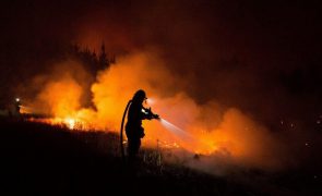 Sobe para 13 número de mortos em incêndios florestais no Chile