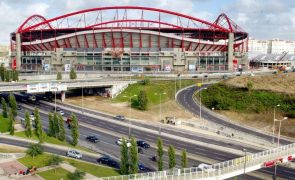 Oito adeptos casuals do Benfica ficam em prisão preventiva