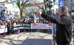 Greve cresce 